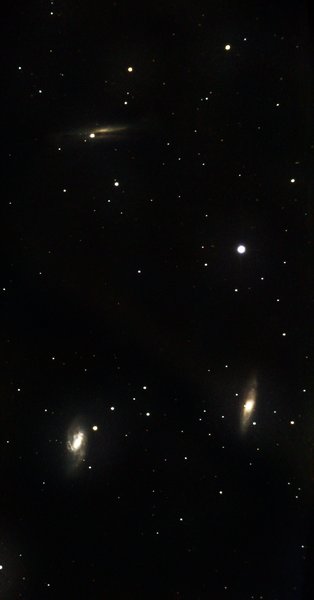 NGC3628