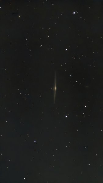 NGC4565