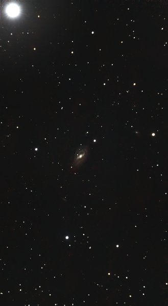 M109