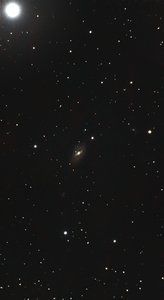 M109