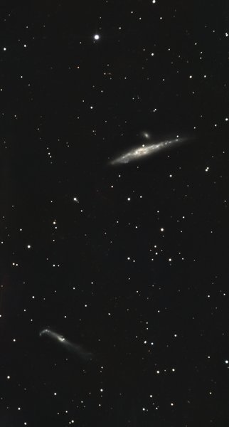 NGC 4631