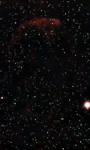 IC443