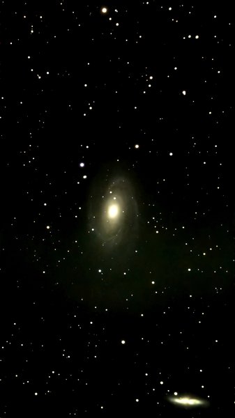 M81