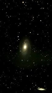 M81