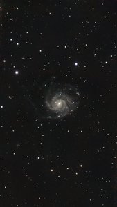 M101