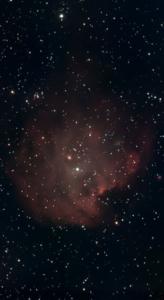NGC2175