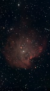 NGC2175